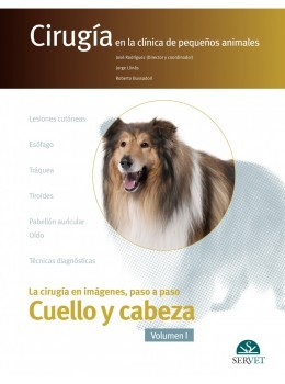 Cirugía En La Clínica De Pequeños Animales. Cuello Y Cabeza. Vol. I