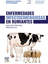Enfermedades Infectocontagiosas En Rumiantes Manuales Clínicos De Veterinaria