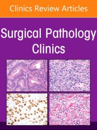 Gynecologic and Obstetric Pathology, An Issue of Surgical Pathology Clinics, 1st Edition
