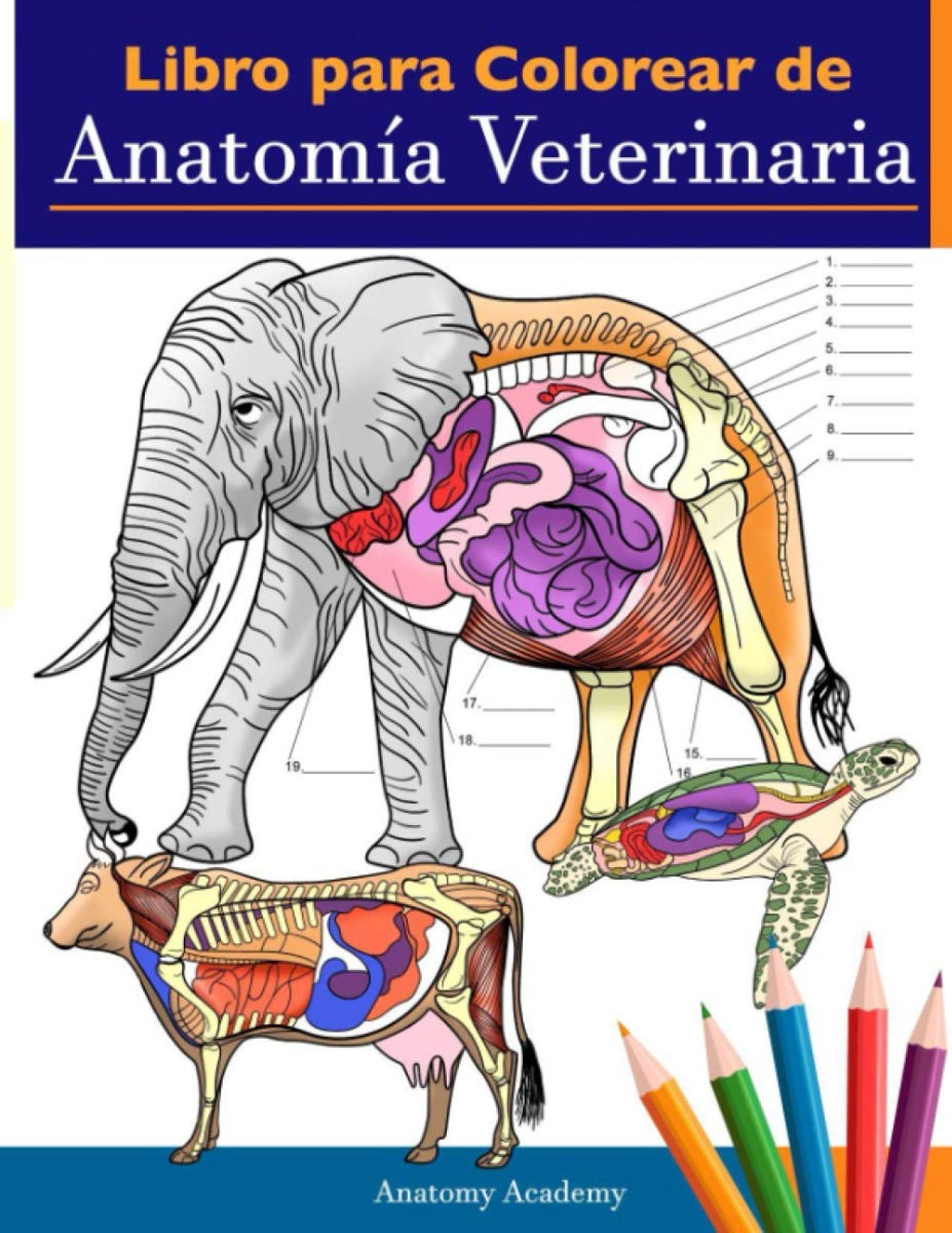 Libro para colorear de anatomía veterinaria