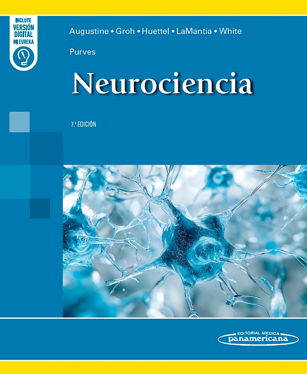 Purves. Neurociencia
