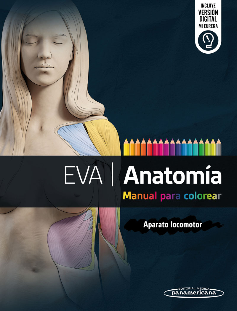 EVA Anatomía. Manual para Colorear: Aparato Locomotor.