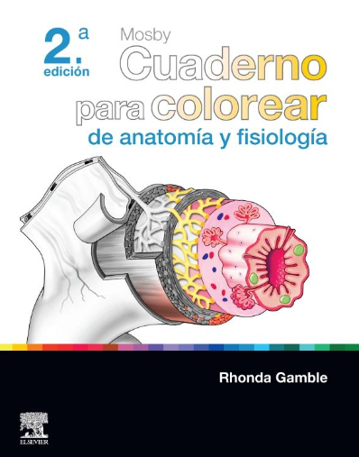Mosby Cuaderno Para Colorear De Anatomía Y Fisiología