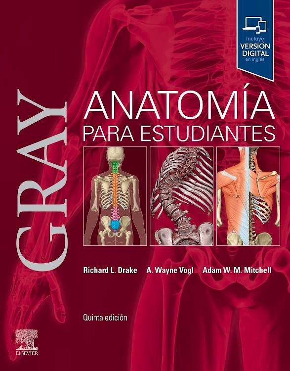 GRAY Anatomía para Estudiantes