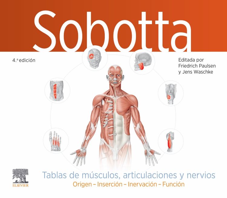 SOBOTTA Tablas de Músculos, Articulaciones y Nervios