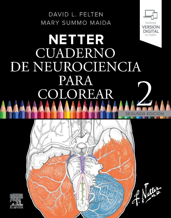 Netter. Cuaderno de neurociencia para colorear