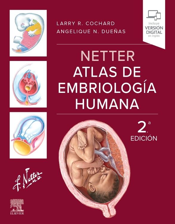 Netter Atlas de embriología humana