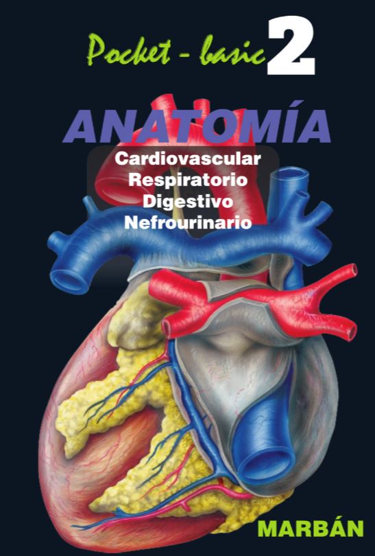 Pocket Basic 2 Anatomía - Cardiovascular . Respiratorio . Digestivo . Nefrourinario