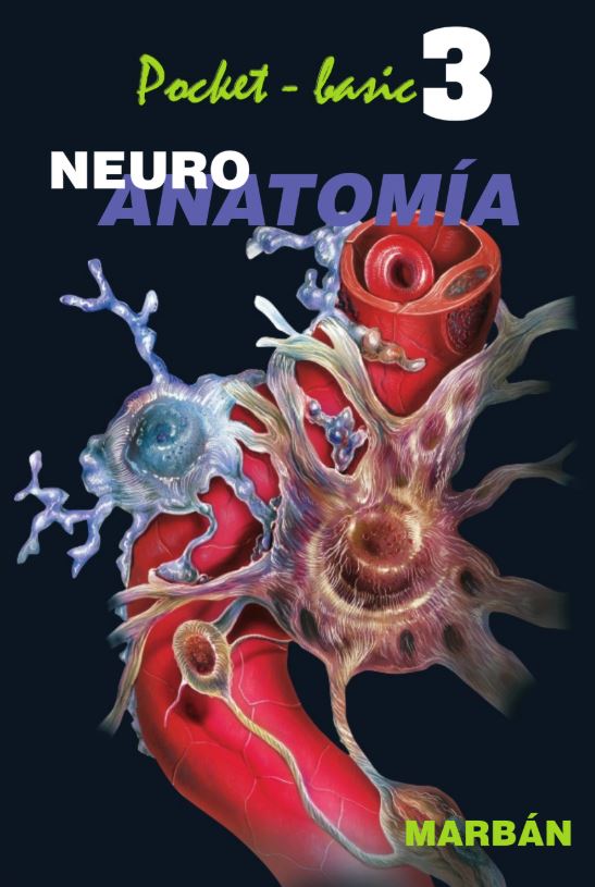 Pocket Basic 3 - Neuroanatomía