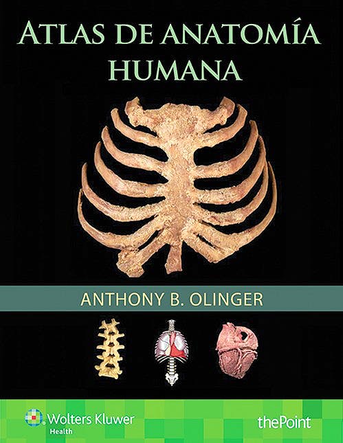 Atlas De Anatomía Humana