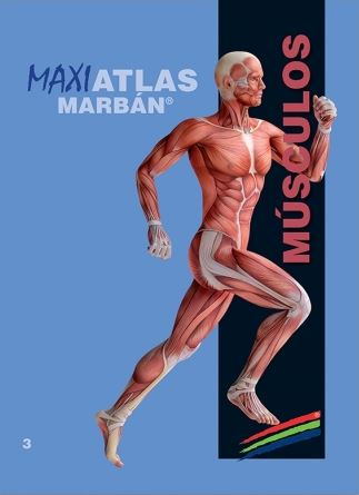 Maxi Atlas Vol. 3: Músculos