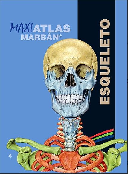 Maxi Atlas 4 Esqueleto