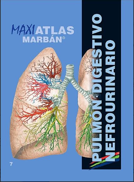 Maxi Atlas Vol. 7: Pulmón. Digestivo. Nefrourinario