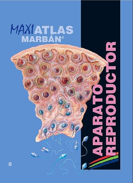 Maxi Atlas Vol. 8: Aparato Reproductor