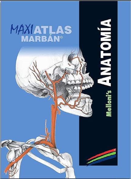 Maxi Atlas Vol. 15: Anatomía Melloni'S