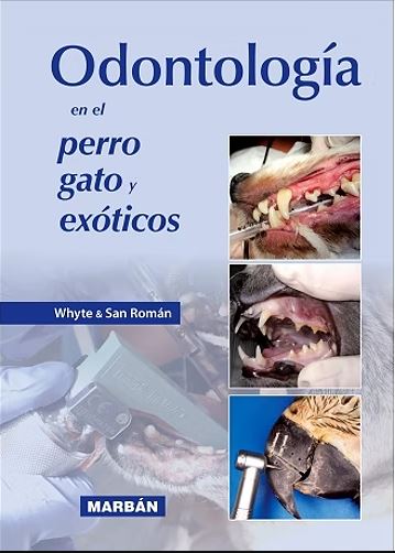 Odontología En El Perro, Gato Y Exóticos