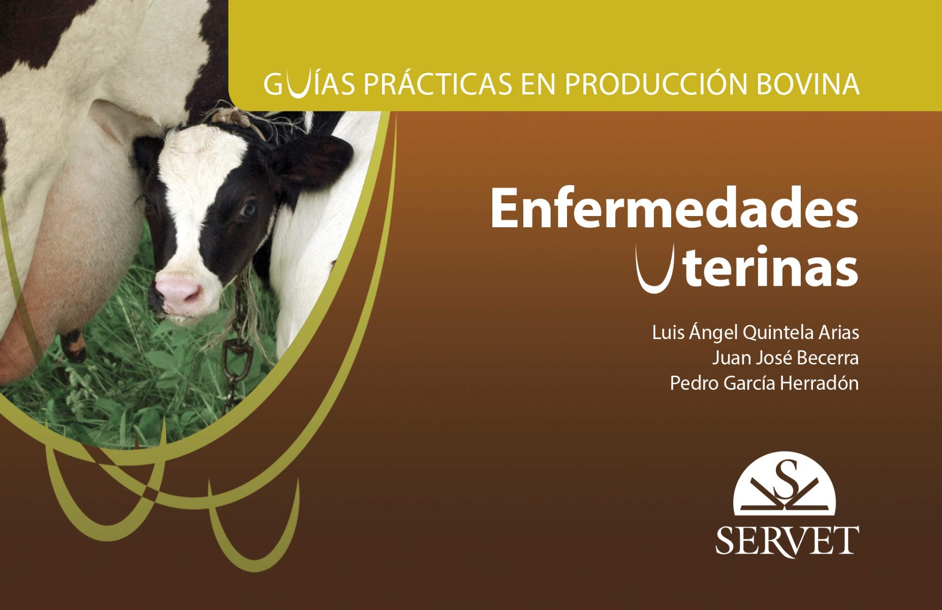 Enfermedades Uterinas. Guías Prácticas En Producción Bovina.