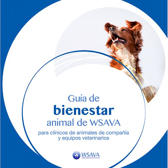 Guía de Bienestar Animal de WSAVA para Clínicos de Animales de Compañía y Equipos Veterinarios