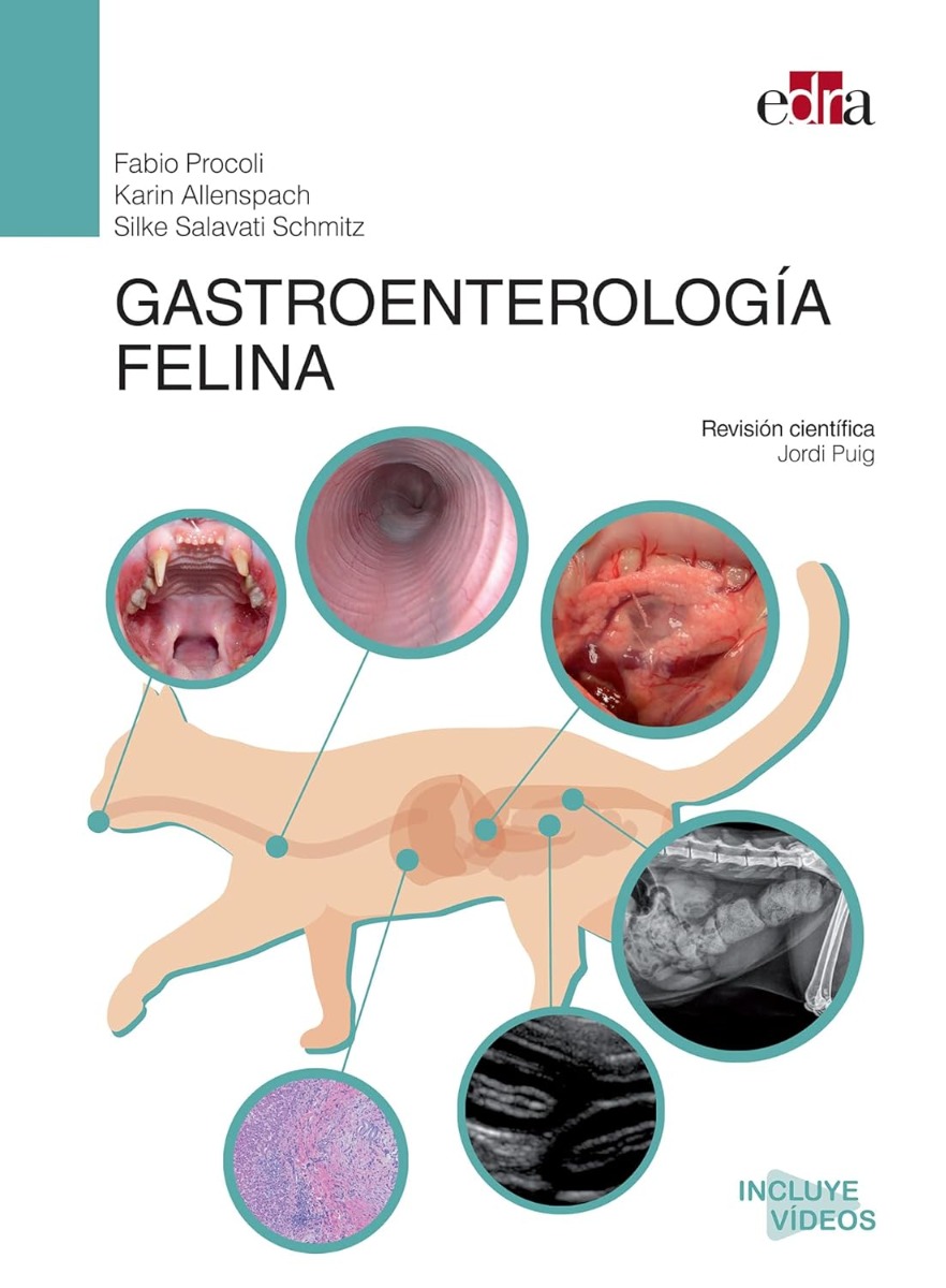 Gastroenterología Felina