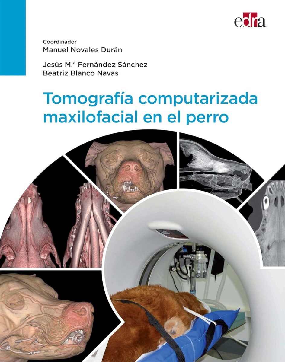 Tomografía Computarizada Maxilofacial en el Perro