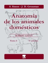 Anatomía De Los Animales Domésticos. Tomo I.