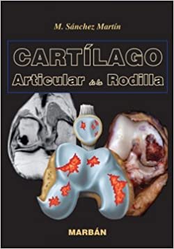 Cartilago Articular De La Rodilla