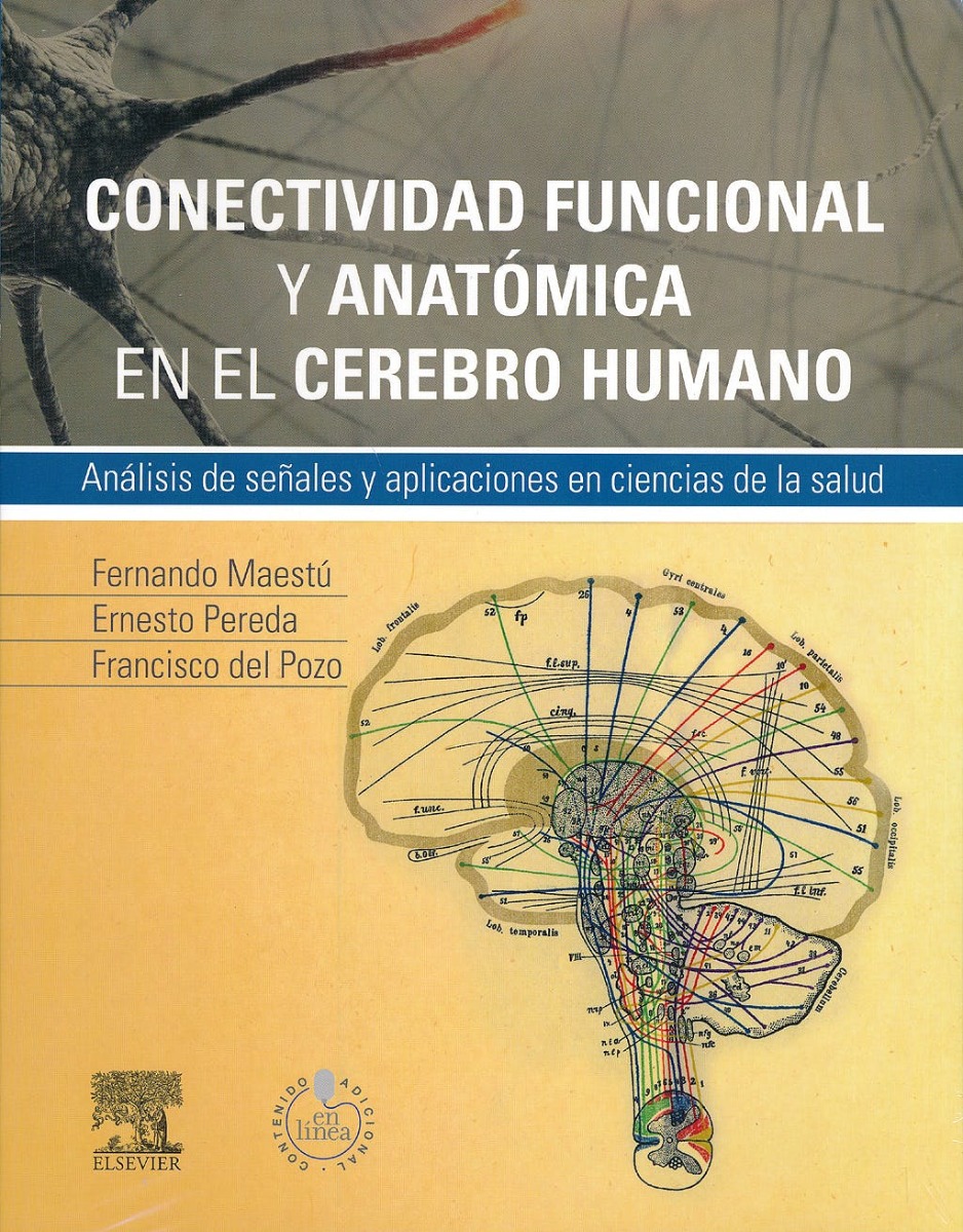 Conectividad Funcional Y Anatómica En El Cerebro Humano