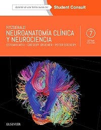 Fitzgerald´S. Neuroanatomía Clínica Y Neurociencia .