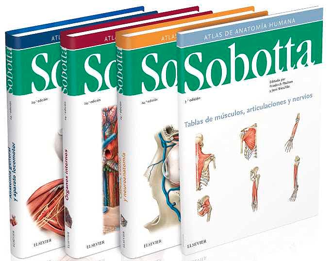 Sobotta. Atlas De Anatomía Humana 3 Vol. + Tablas 2.