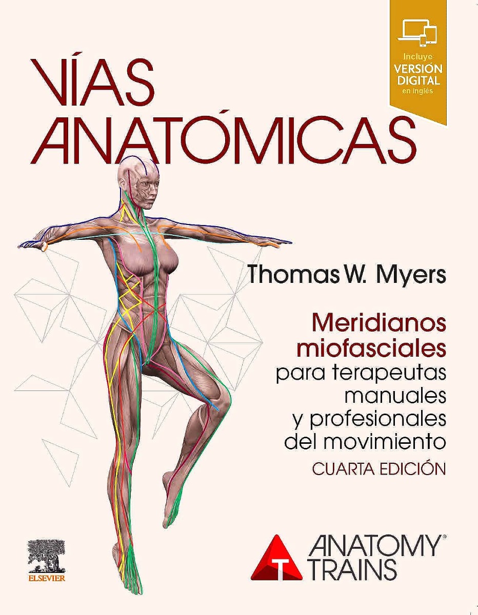 Vías anatómicas. Meridianos miofasciales para terapeutas manuales y profesionales del movimiento 