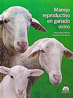 Manejo Reproductivo En Ganado Ovino