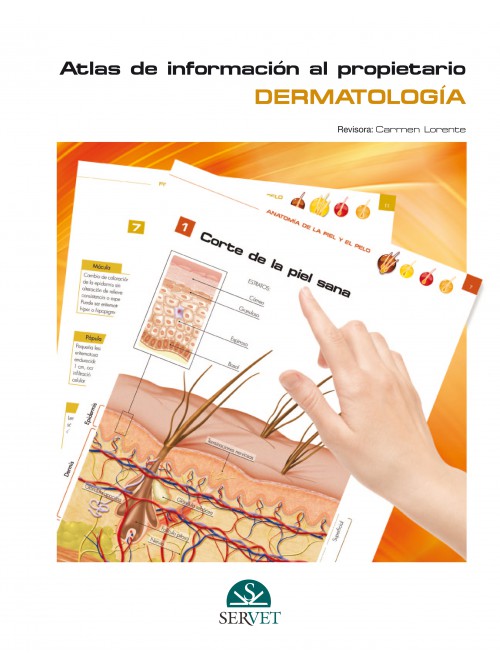 Atlas De Informacion Al Propietario Dermatologia