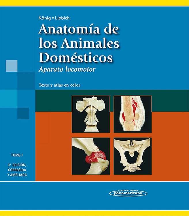 Anatomía De Los Animales Domésticos Texto Y Atlas En Color Tomo 1