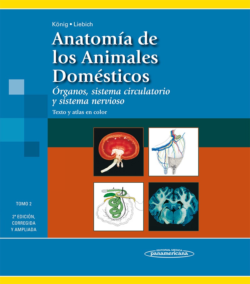 Anatomía De Los Animales Domésticos Texto Y Atlas En Color Tomo 2