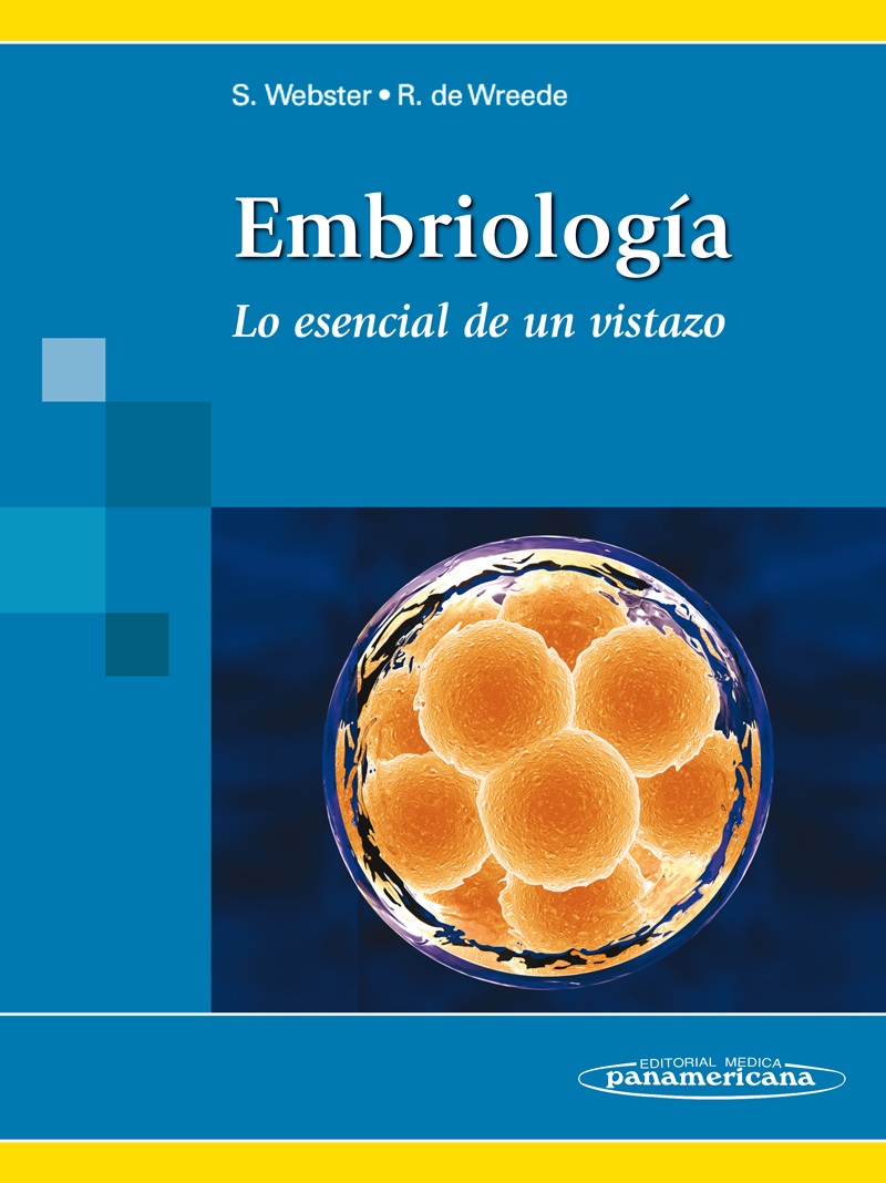 Embriología Lo esencial de un vistazo