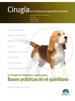 Cirugía En La Clínica De Pequeños Animales. Bases Prácticas En El Quirófano