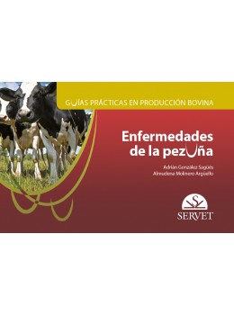 Guías prácticas en producción bovina. Enfermedades de la pezuña