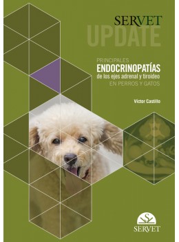 Servet Update. Principales Endocrinopatías De Los Ejes Adrenal Y Tiroideo En Perros Y Gatos