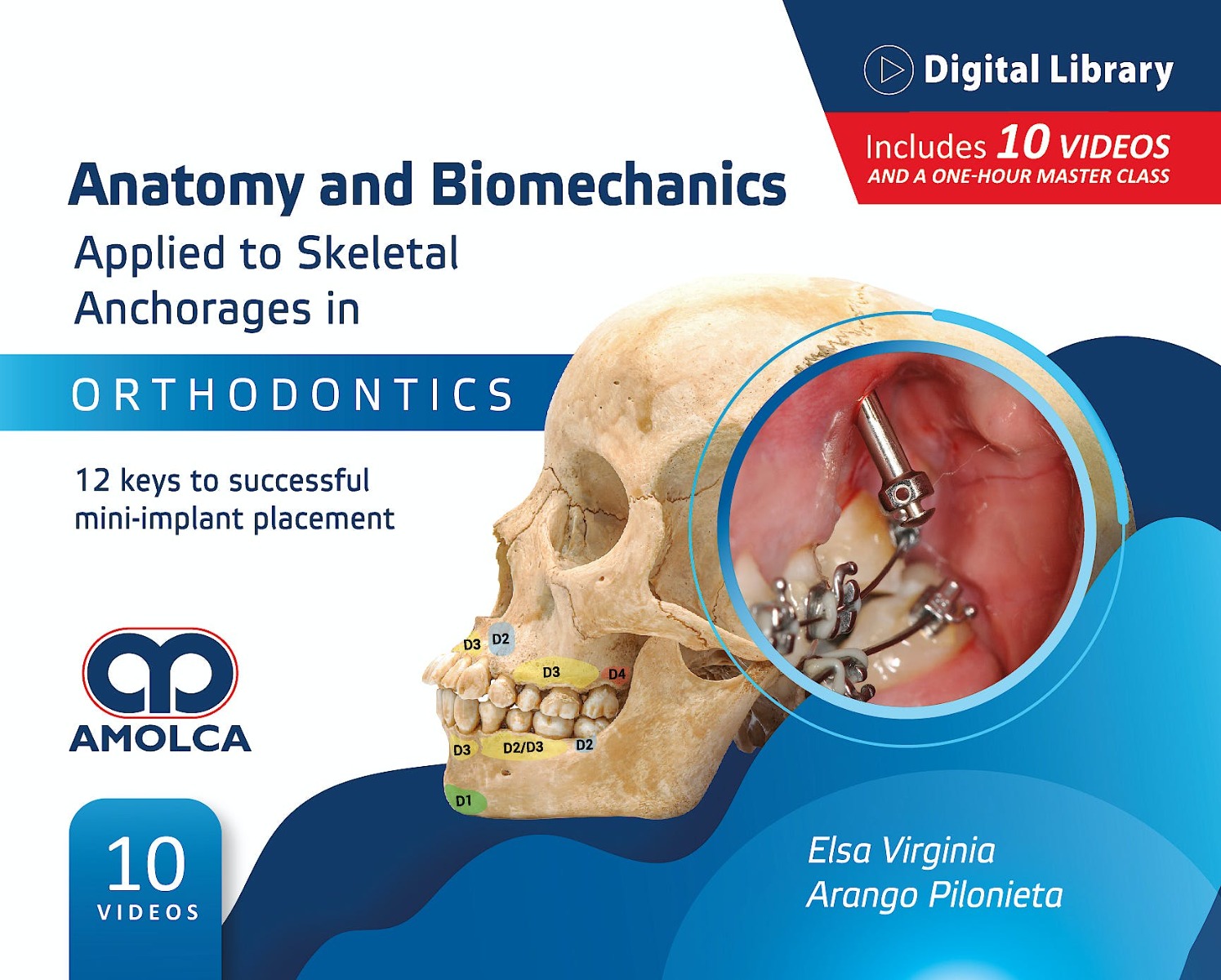 Anatomy And Biomechanics