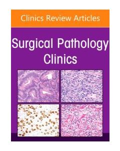 Gynecologic And Obstetric Pathology, An Issue Of Surgical Pathology Clinics, 1St Edition