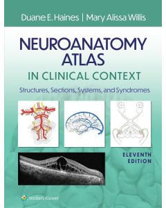 Neuroanatomy Atlas in Clinical Context