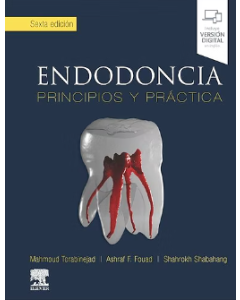 Endodoncia. Principios Y Práctica.