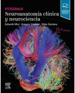 Fitzgerald Neuroanatomía Clínica Y Neurociencia