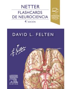 NETTER. Flashcards de Neurociencia