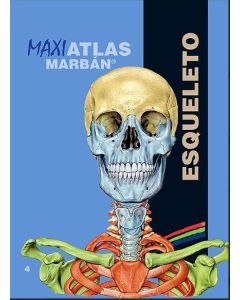 Maxi Atlas 4 Esqueleto