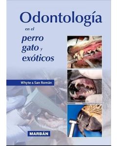 Odontología En El Perro, Gato Y Exóticos