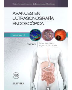 Avances En Ultrasonografía Endoscópica (Clínicas Iberoamericanas De Gastroenterología Y Hepatología, Vol. 12)