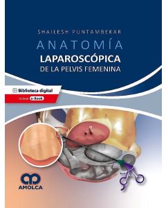 Anatomía Laparoscópica de la Pelvis Femenina