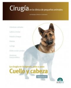 Cirugía En La Clínica De Pequeños Animales. Cabeza Y Cuello. Volumen Ii