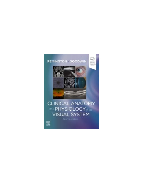 Clinical Anatomy And Physiology Of The Visual System, 4Th Edition